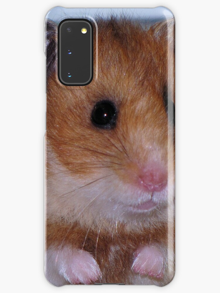 hamster case