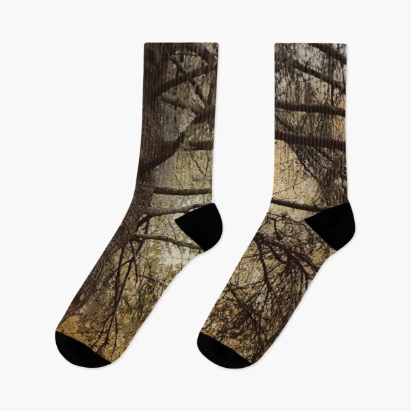 Item preview, Autumn Trees 1 designed and sold by Barry W  King.