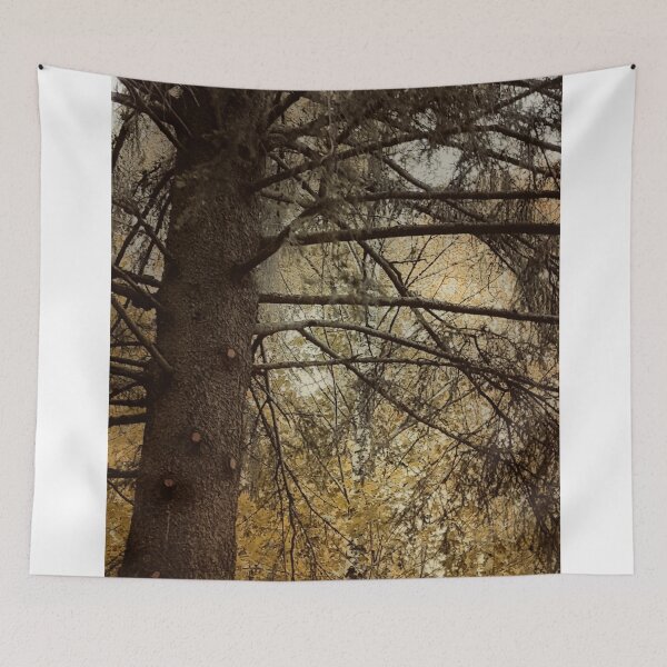 Item preview, Autumn Trees 1 designed and sold by Barry W King.