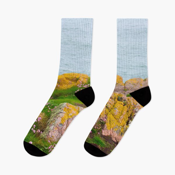Item preview, Flower of Scotland - Cruden Bay, Aberdeenshire, Scotland, UK designed and sold by Yannik Hay.