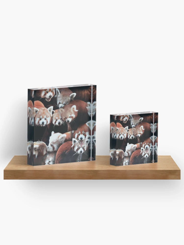 Aperçu 3 sur 5. Bloc acrylique avec l'œuvre Pandas Rouges créée et vendue par MaxencePierrard.