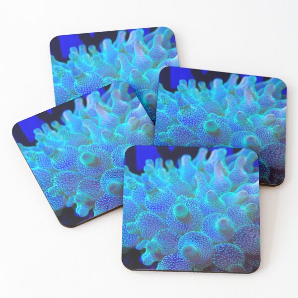 Item preview, Bubble Tip anemone designed and sold by buzzmarshall.