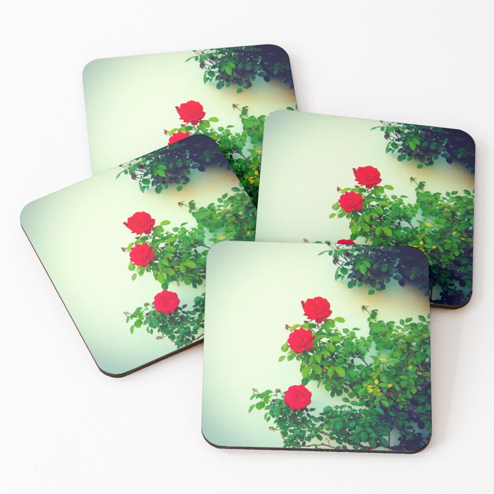 Item preview, Coasters (Set of 4) designed and sold by Frogmuse.