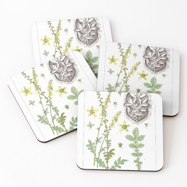 Item preview, Agrimonia Eupatorium. Herb - Agrimony designed and sold by simpson92.
