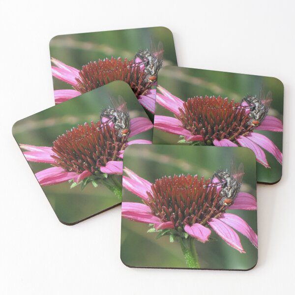 Item preview, ¿Qué quieres decir con que no parezco una abeja? designed and sold by Sharon Perrett.