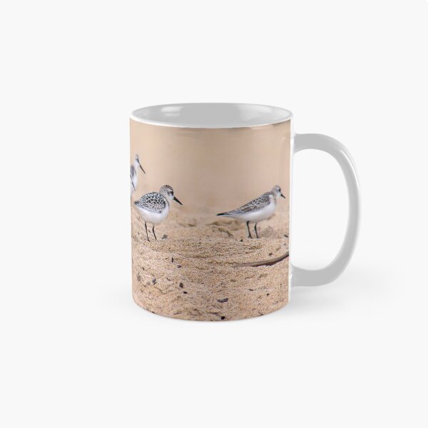 Item preview, Sand Plovers (or grey plovers), Old Orchard Beach, Maine designed and sold by Yannik Hay.