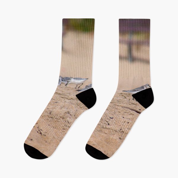 Item preview, Sand Plovers (or grey plovers), Old Orchard Beach, Maine designed and sold by Yannik Hay.