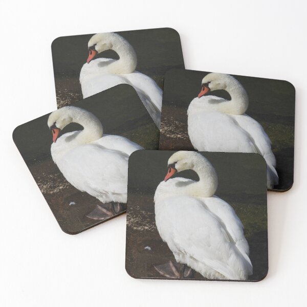 Item preview, Mute Swan  designed and sold by Martina Nicolls.