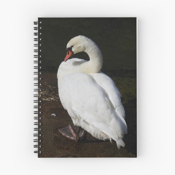 Item preview, Mute Swan  designed and sold by Martina Nicolls.