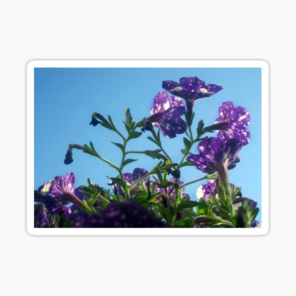 Starry Sky Flowers 14 Sticker