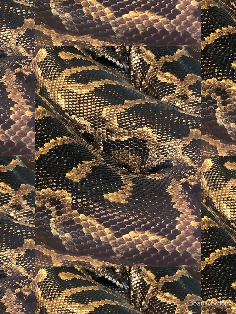 Thumbnail 3 of 3, Scarf, Python designed and sold by Beau Gordon.