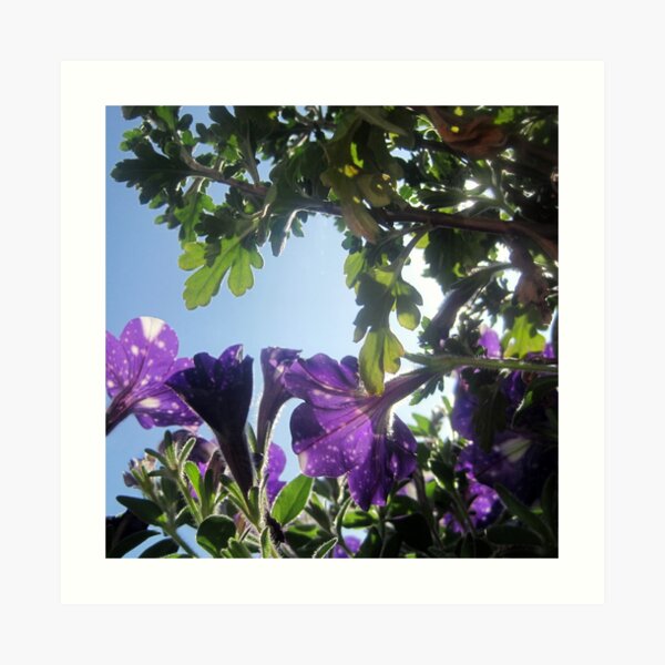Starry Sky Flowers 17 Art Print