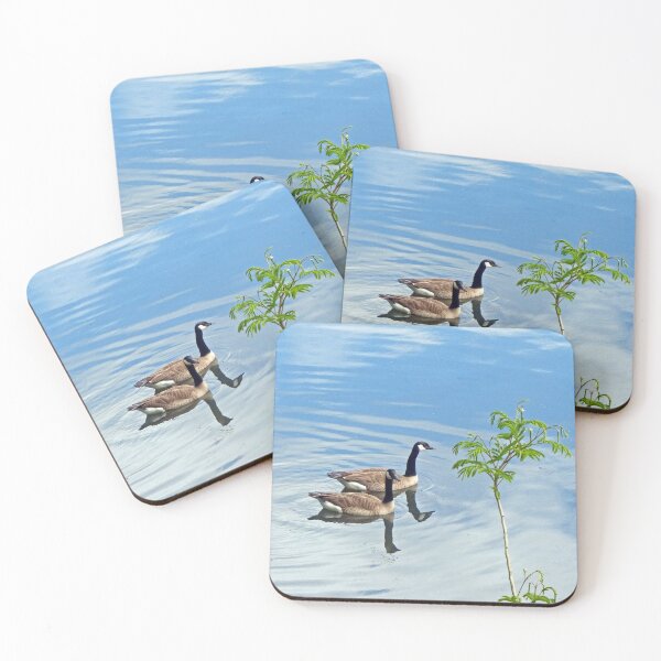 Item preview, Beautiful Day for a Swim designed and sold by Frankie Cat Photography.