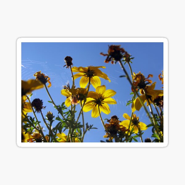 Sunshine Flowers Sticker