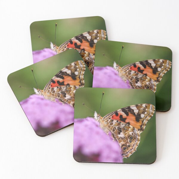 Item preview, Painted lady on buddleia designed and sold by GreyFeatherPhot.
