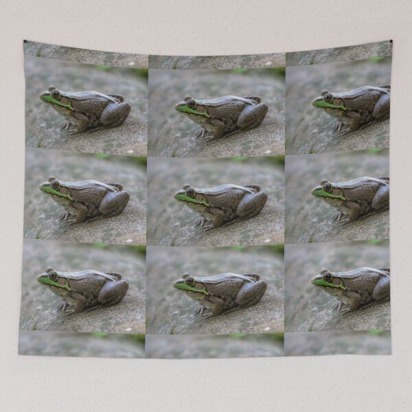 Item preview, Feeling Froggy designed and sold by Ollivrosa.