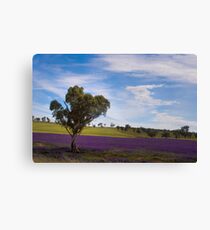Postcard from Junee Canvas Print