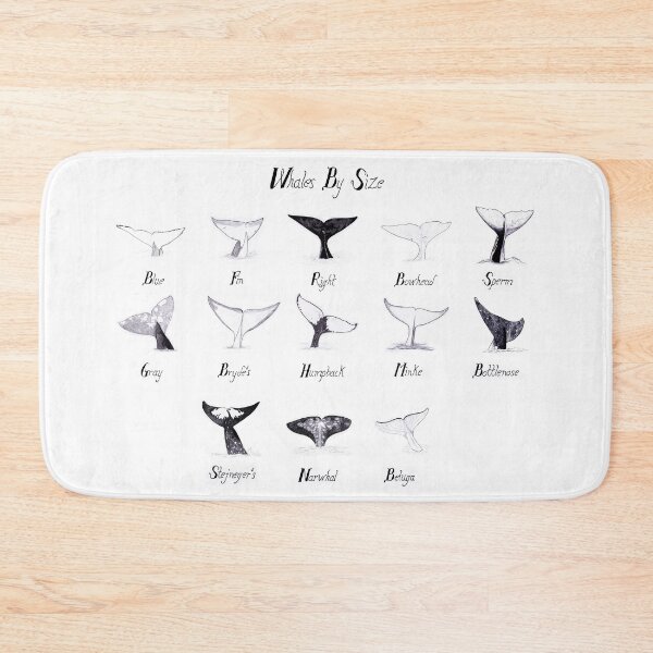 Item preview, Whales by Size designed and sold by EKeener.