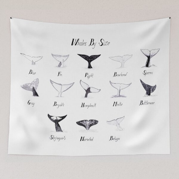 Item preview, Whales by Size designed and sold by EKeener.