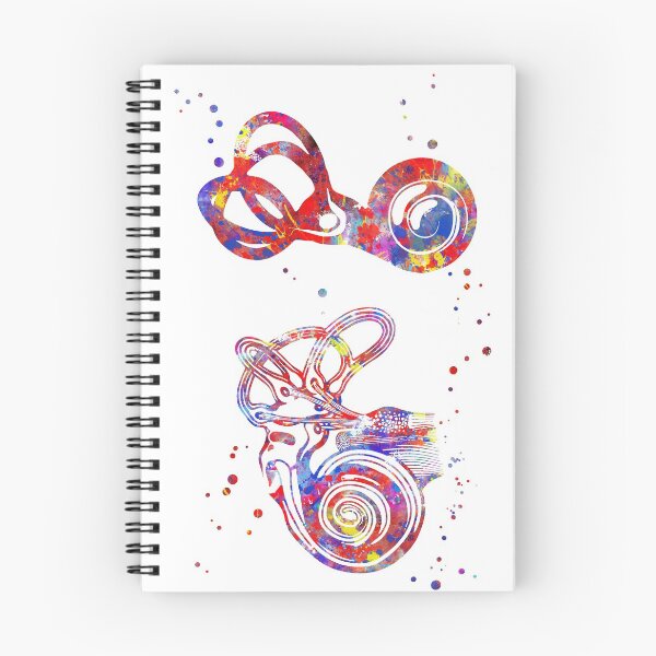 Item preview, Ear anatomy, ear canal, cochlea histology, cochlea, vestibular, acoustic, nerves, audiology designed and sold by Rosaliartbook.