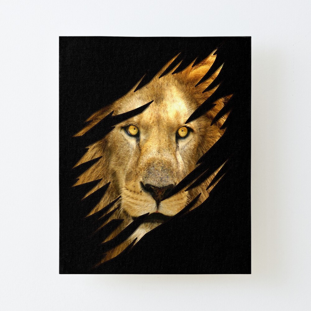 leopard apparel