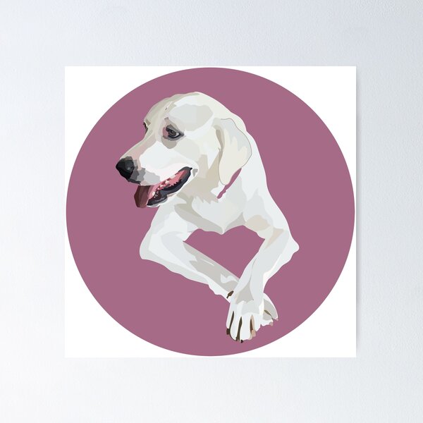 Item preview, White Lab designed and sold by emreese.