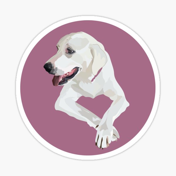 Aperçu de l'œuvre Labrador blanc créée et vendue par emreese.