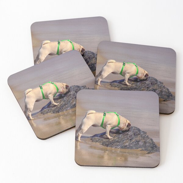 Item preview, Lilly at the Beach, Old Orchard, Maine designed and sold by Yannik Hay.