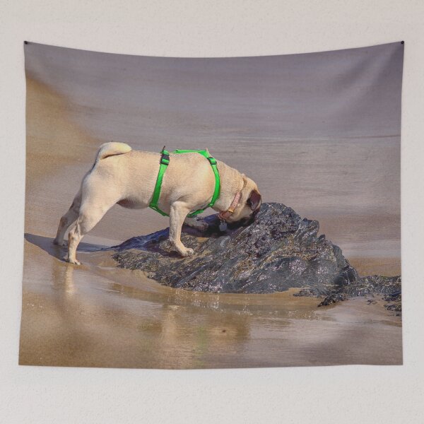 Item preview, Lilly at the Beach, Old Orchard, Maine designed and sold by Yannik Hay.
