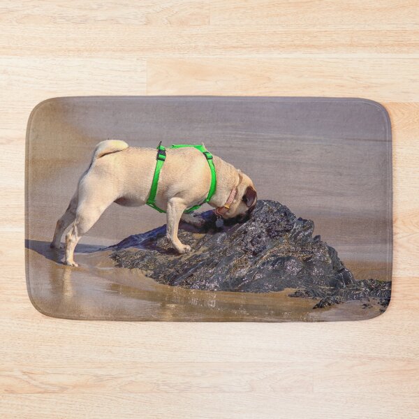 Item preview, Lilly at the Beach, Old Orchard, Maine designed and sold by Yannik Hay.