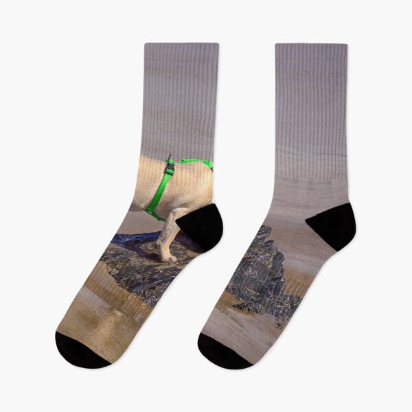 Item preview, Lilly at the Beach, Old Orchard, Maine designed and sold by Yannik Hay.