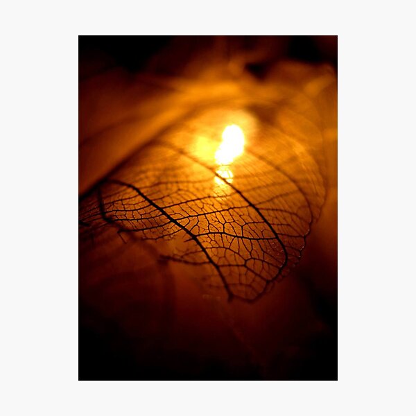 Item preview, The focus of but a moment... designed and sold by Artbutterfly.