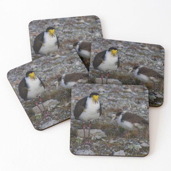 Item preview, The Masked Lapwing designed and sold by PictureNZ.