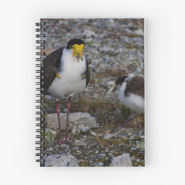 Item preview, The Masked Lapwing designed and sold by PictureNZ.