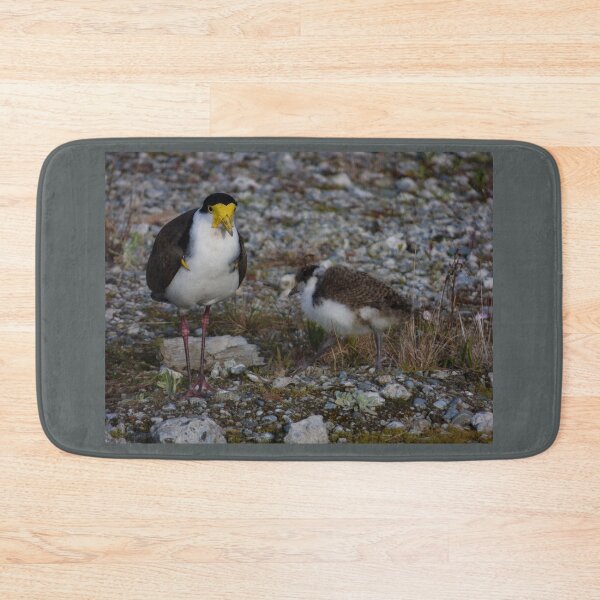 Item preview, The Masked Lapwing designed and sold by PictureNZ.