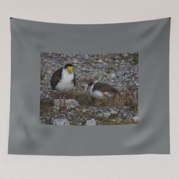 Item preview, The Masked Lapwing designed and sold by PictureNZ.