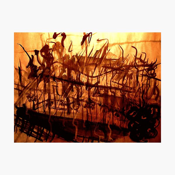 vineyard late afternoon ..... sun peering through Photographic Print