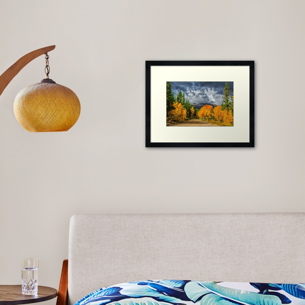 Changing Of The Colors - Colorado's New Coat Framed Art Print