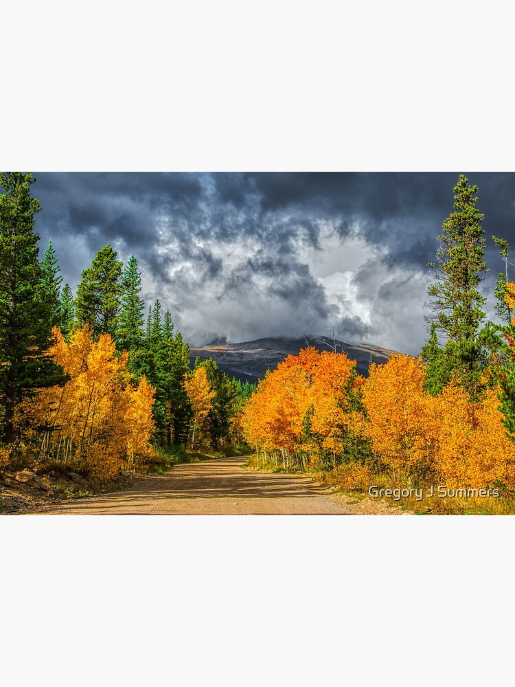 Changing Of The Colors - Colorado's New Coat by nikongreg