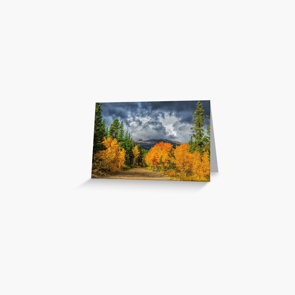 Changing Of The Colors - Colorado's New Coat Greeting Card