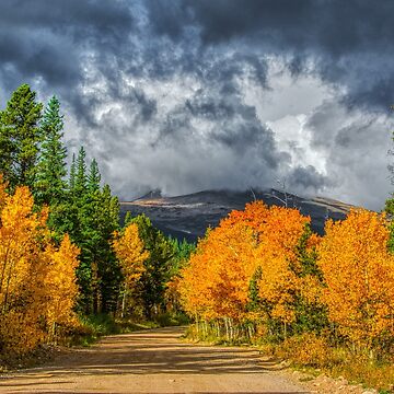 Artwork thumbnail, Changing Of The Colors - Colorado's New Coat by nikongreg