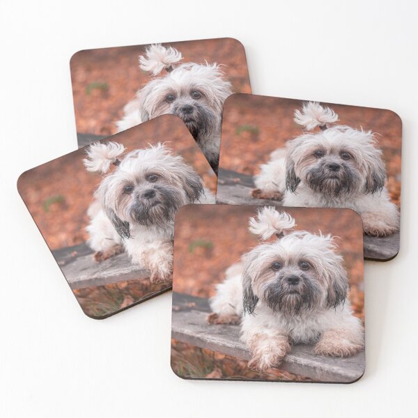 Item preview, Lhasa apso in autumn designed and sold by Pokofoto.