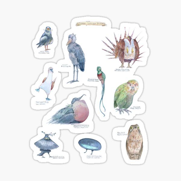 Item preview, Some (kinda) Weird Birds designed and sold by flamingmuffinz.