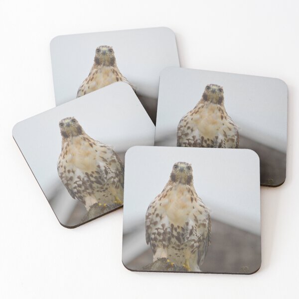 Item preview, RedTail Hawk designed and sold by Drgnfly4free.