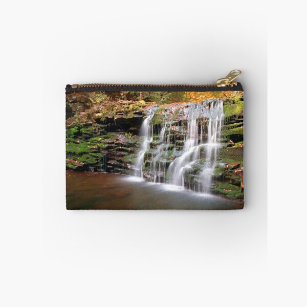 Artikelvorschau, Dry Fall at Cayuga Falls entworfen und verkauft von Gene Walls.
