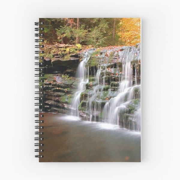 Item preview, Dry Fall at Cayuga Falls designed and sold by Gene Walls.