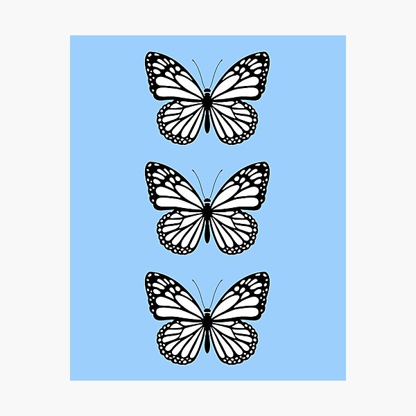 Butterfly Photographic Print