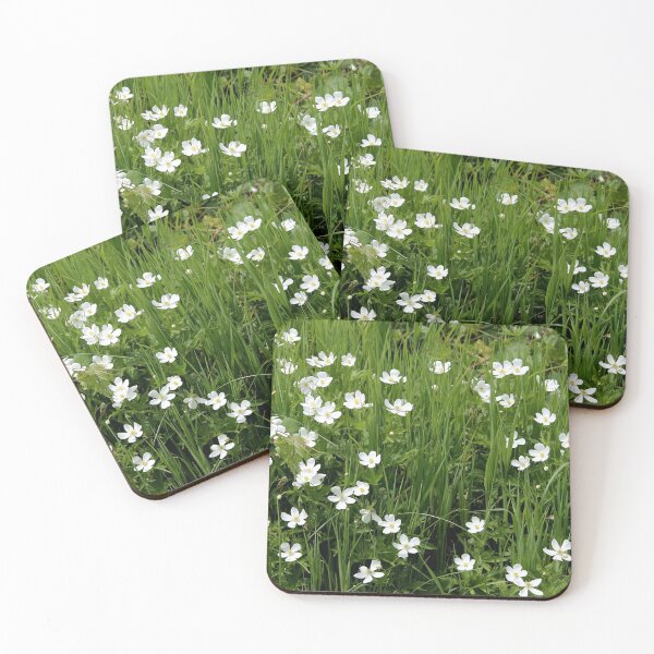Item preview, Wild Anemones  designed and sold by photoclique.