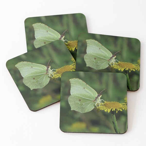 Item preview, Day glow designed and sold by Sharon Perrett.