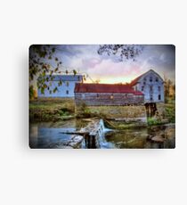 "Please Help Before I Am Gone Forever!" Canvas Print